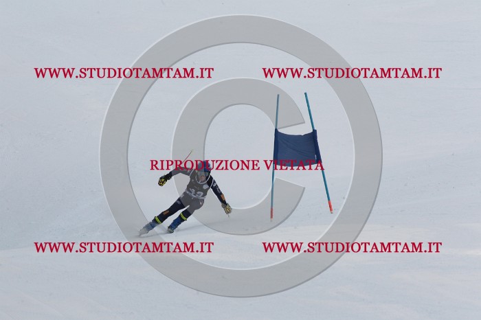MAT_9235.JPG