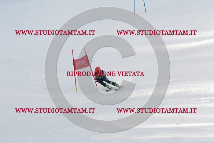 MAT_9295.JPG