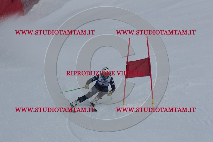 MAT_9578.JPG