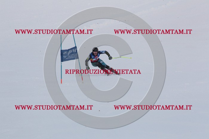 MAT_9597.JPG