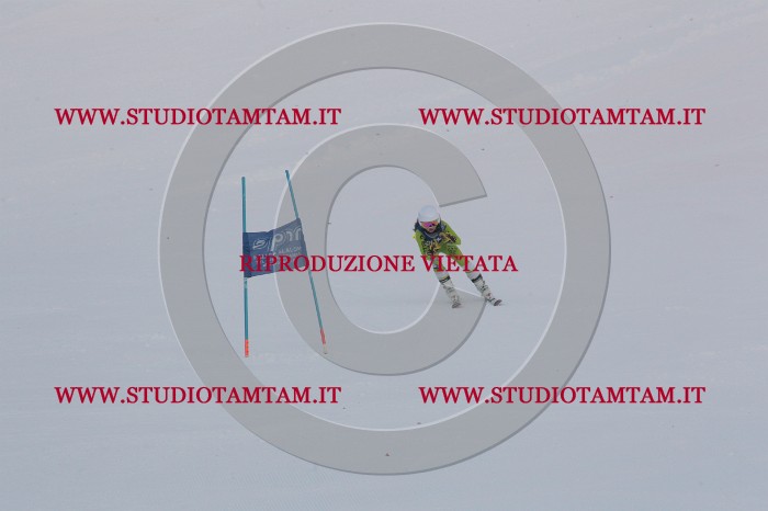 MAT_9609.JPG