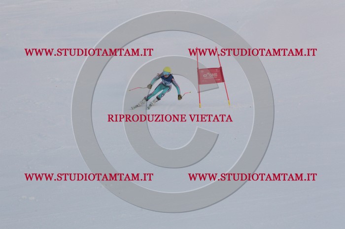 MAT_9617.JPG