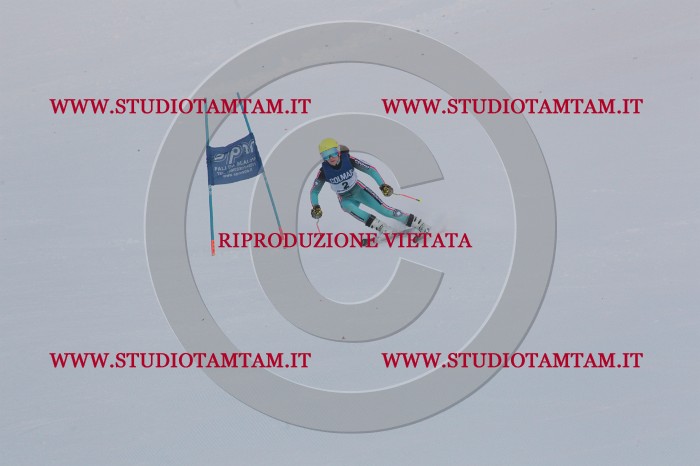 MAT_9620.JPG