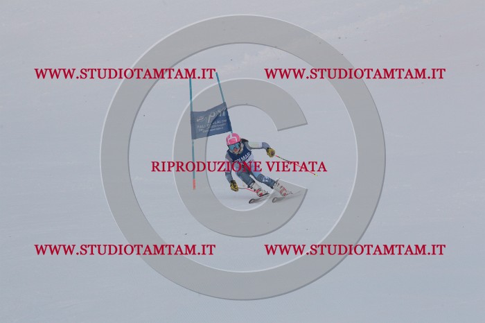 MAT_9635.JPG