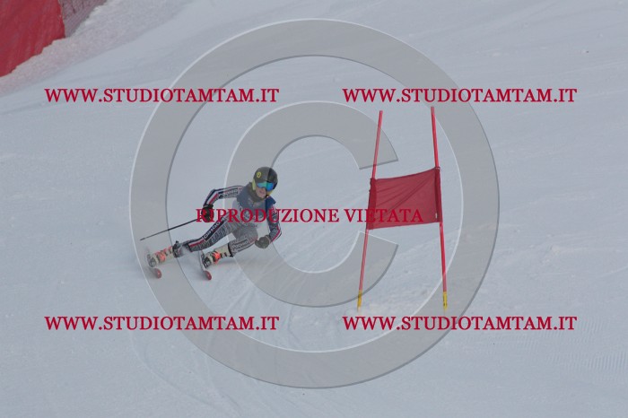 MAT_9655.JPG