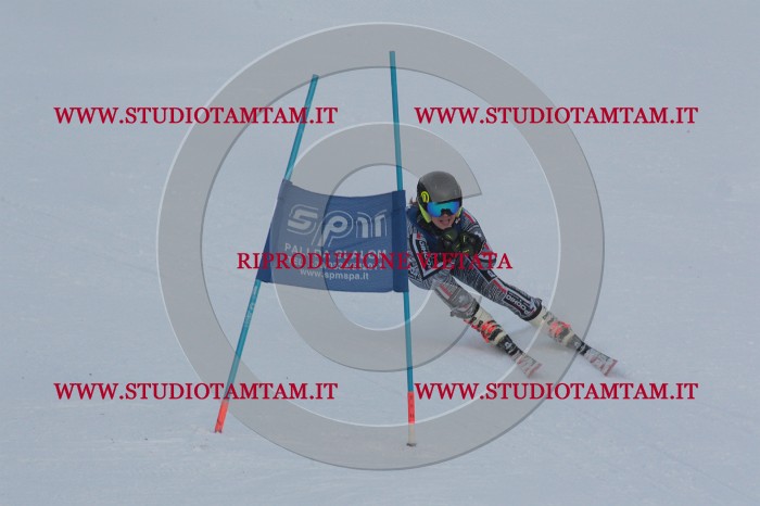 MAT_9658.JPG