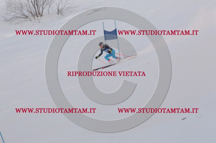 MAT_9675.JPG