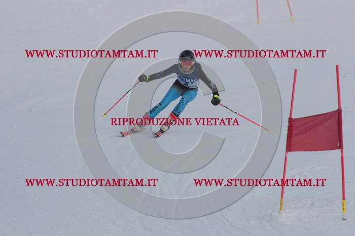 MAT_9682.JPG