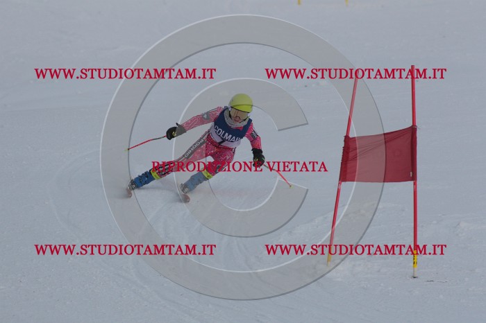 MAT_9699.JPG