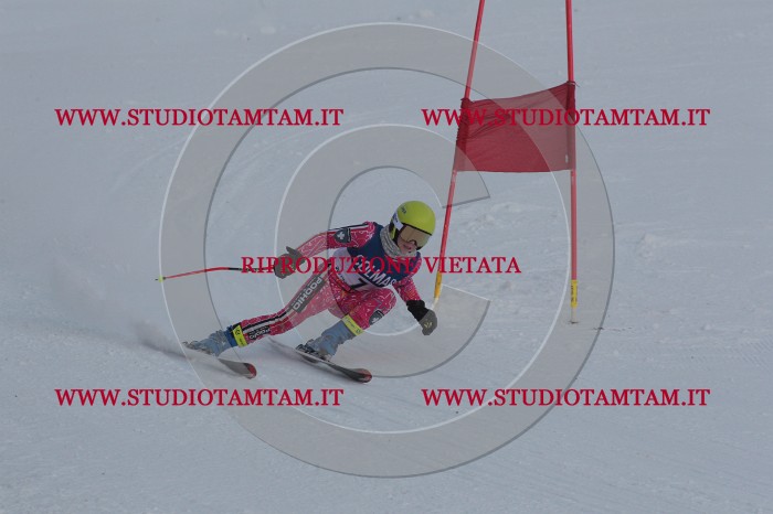 MAT_9700.JPG