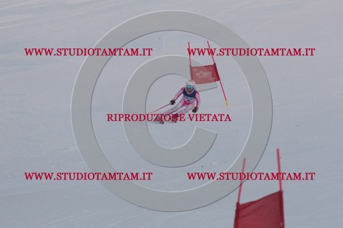 MAT_9705.JPG