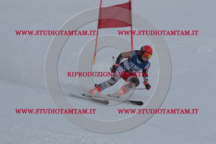 MAT_9733.JPG