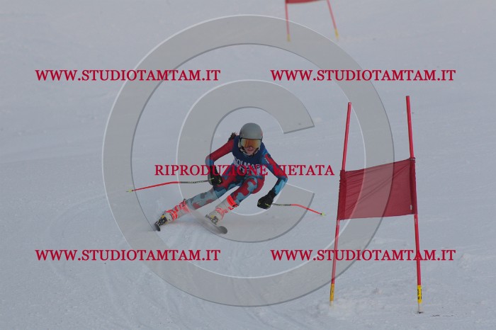 MAT_9750.JPG