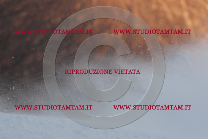 MAT_9757.JPG