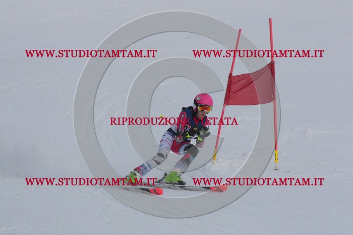 MAT_9770.JPG