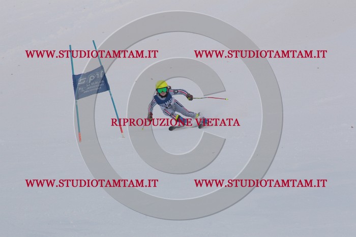 MAT_9783.JPG