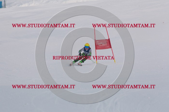 MAT_9812.JPG