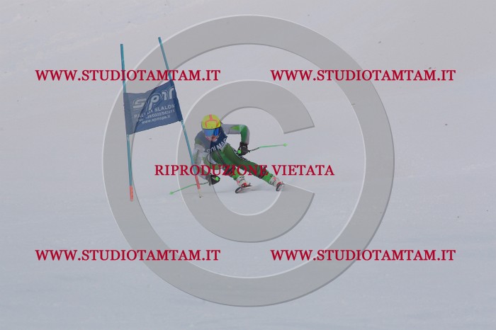 MAT_9815.JPG