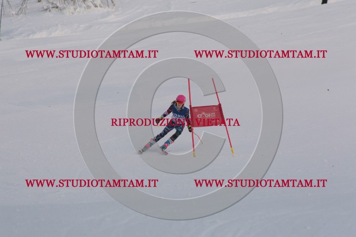 MAT_9848.JPG