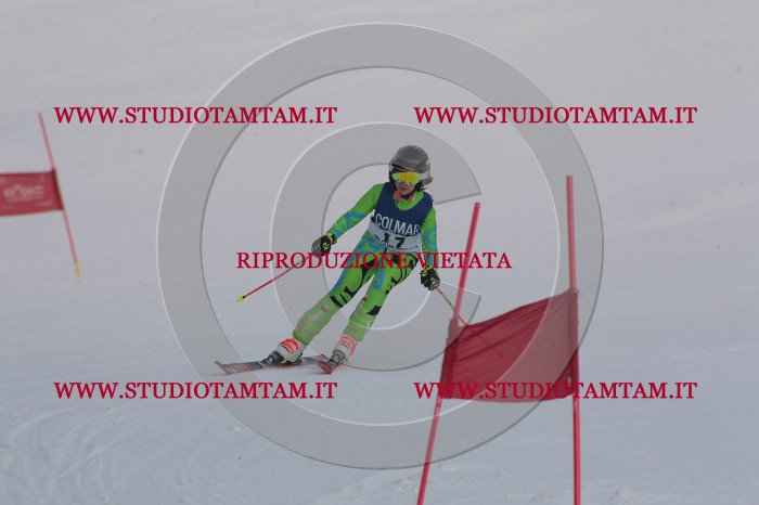 MAT_9874.JPG