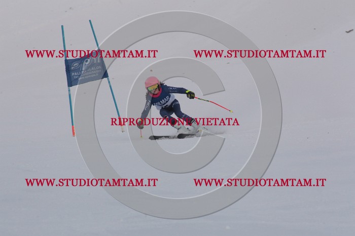 MAT_9889.JPG