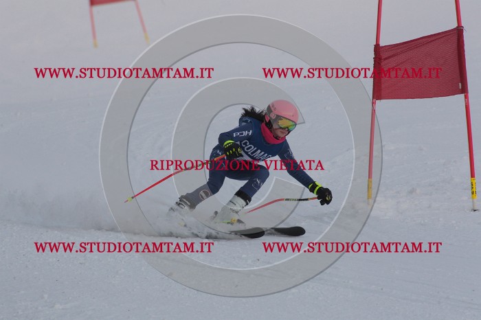MAT_9893.JPG