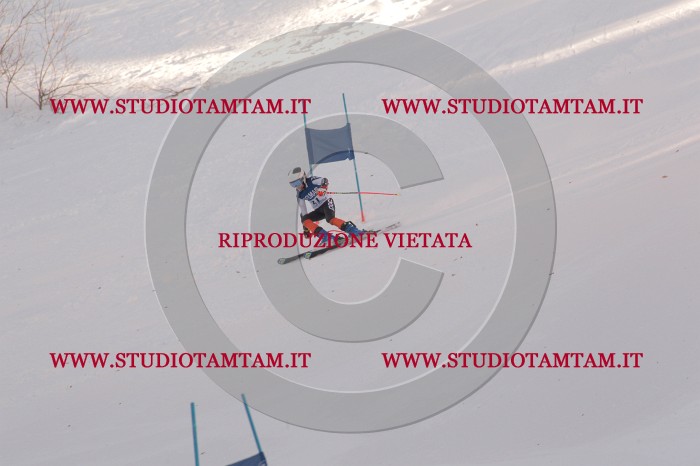MAT_9937.JPG