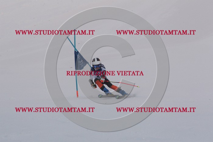 MAT_9945.JPG
