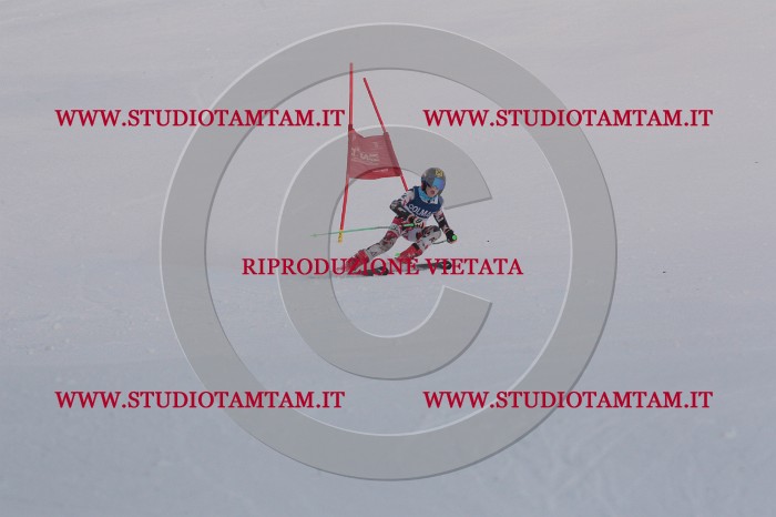 MAT_9981.JPG