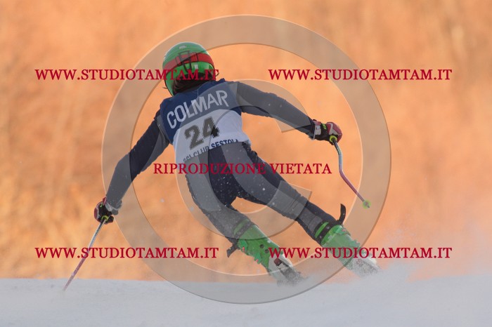 MAT_0015.JPG