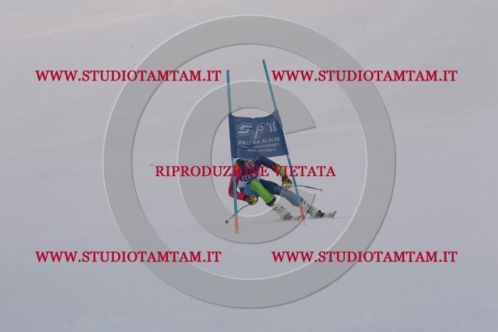MAT_0029.JPG