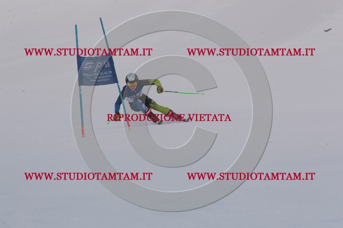 MAT_0058.JPG