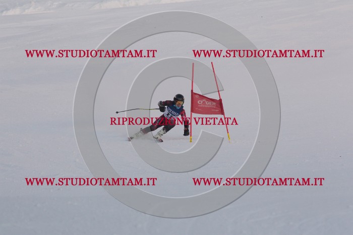 MAT_0075.JPG