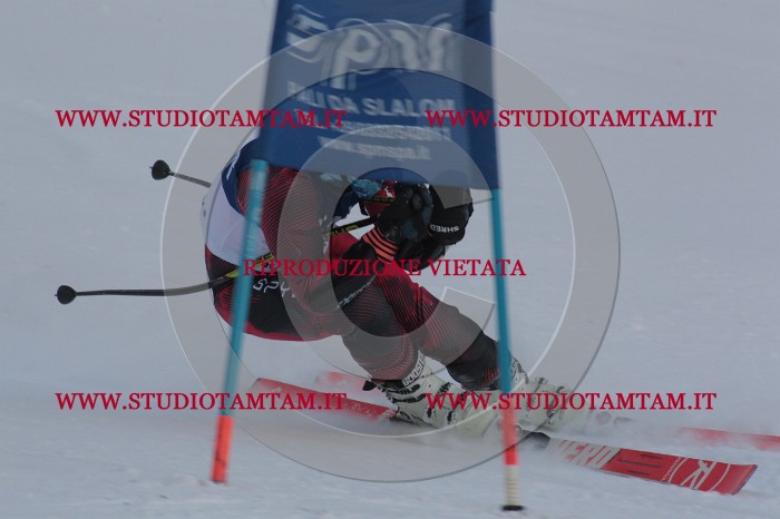 MAT_0087.JPG