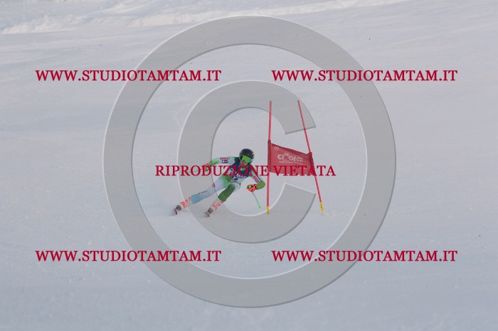 MAT_0203.JPG