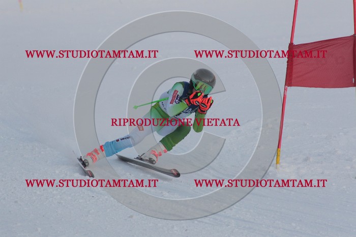 MAT_0209.JPG