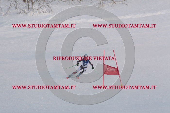 MAT_0217.JPG