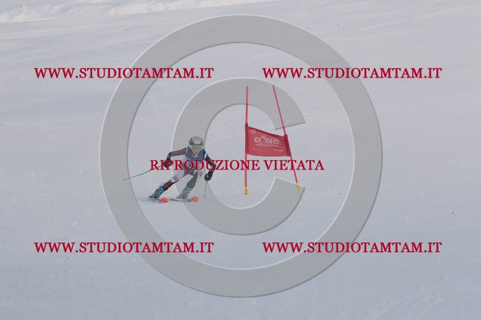 MAT_0219.JPG