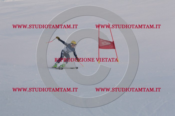 MAT_0239.JPG