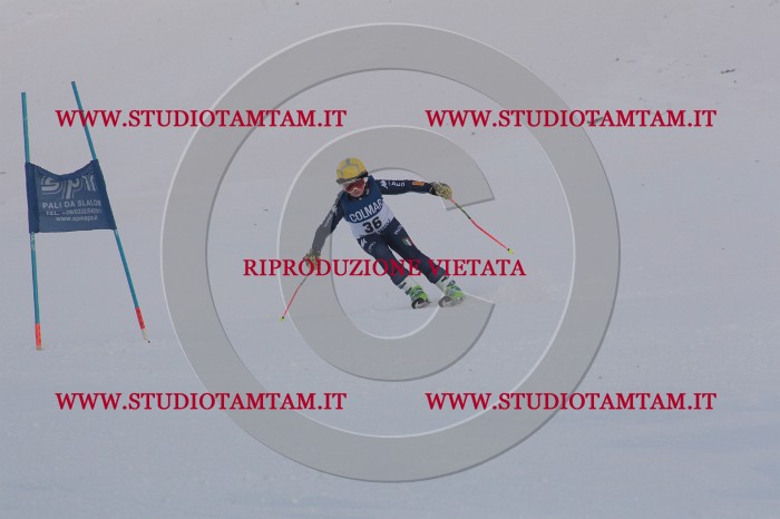 MAT_0241.JPG