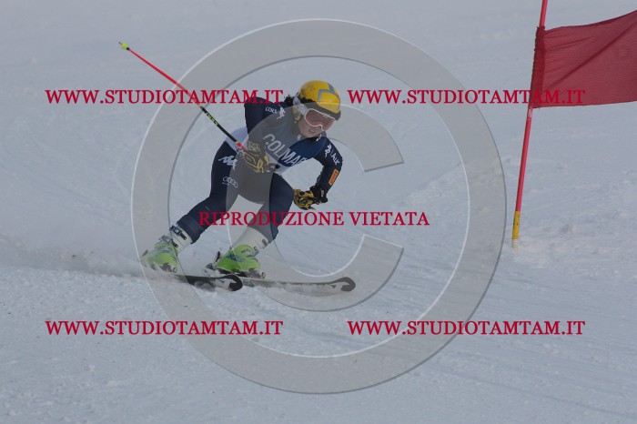 MAT_0245.JPG