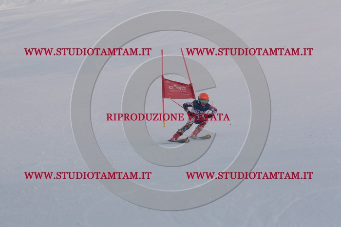 MAT_0260.JPG