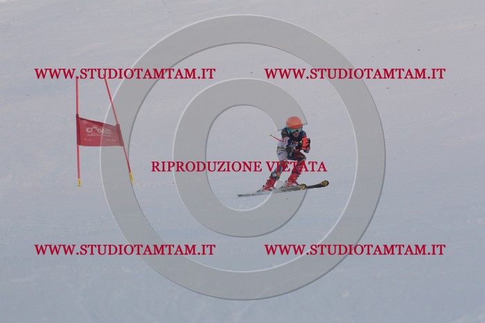 MAT_0261.JPG