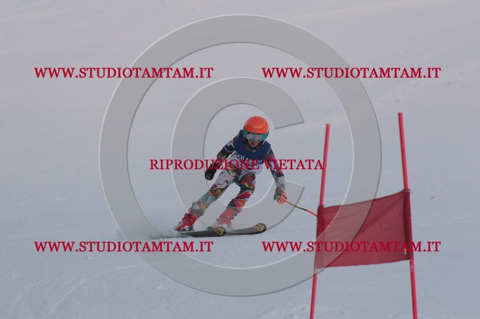 MAT_0267.JPG