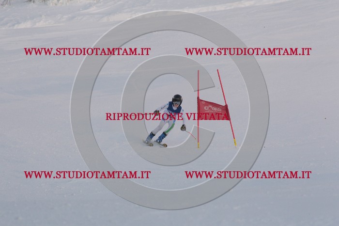 MAT_0303.JPG