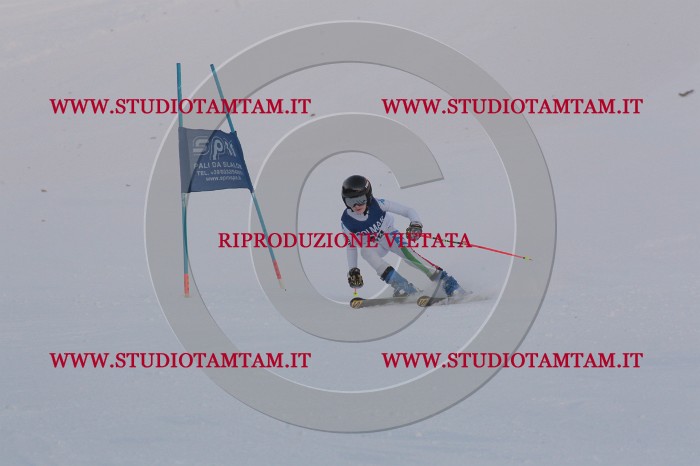 MAT_0308.JPG