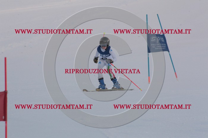 MAT_0310.JPG