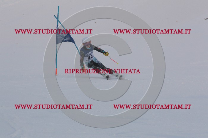 MAT_0356.JPG