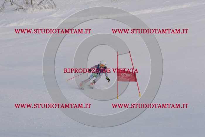 MAT_0393.JPG