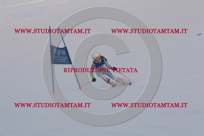 MAT_0398.JPG